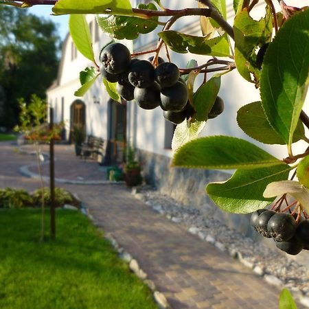 Aronia Park Villa Lubiechowa Luaran gambar