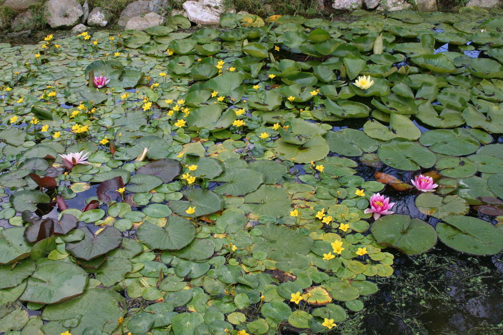 Aronia Park Villa Lubiechowa Luaran gambar