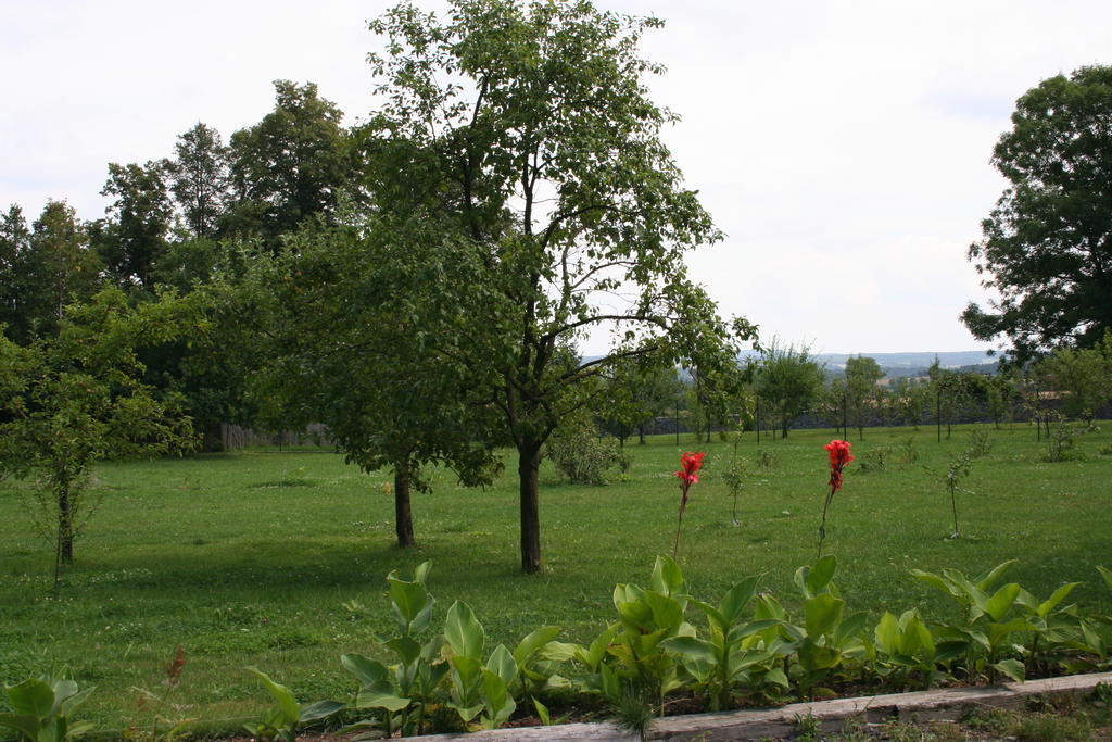 Aronia Park Villa Lubiechowa Luaran gambar