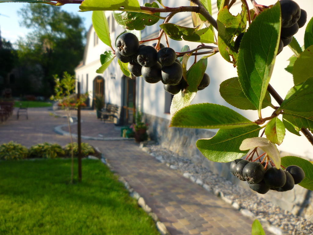 Aronia Park Villa Lubiechowa Luaran gambar